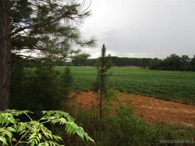 0 DALE COUNTY 1, Daleville, Alabama 36322, Stati Uniti