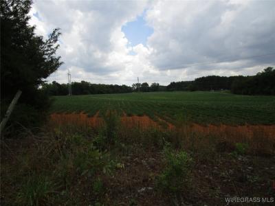 0 DALE COUNTY 1, Daleville, Alabama 36322, USA