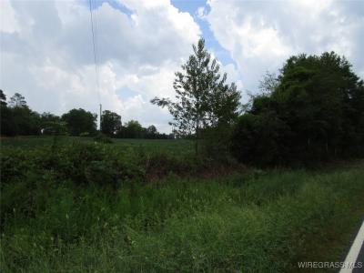 0 DALE COUNTY 1, Daleville, Alabama 36322, Stati Uniti