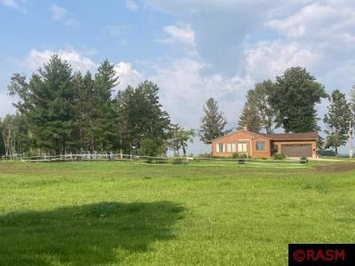 25241 State Highway 4, Sleepy Eye, Minnesota 56085, USA