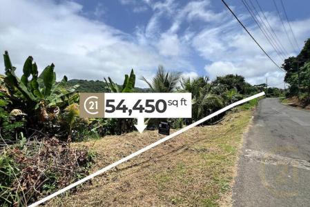 Nature Retreat with River Lot 1, St.Andrew West Indies, Grenada