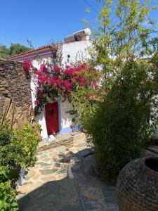 Borba, Evora 7150, Portugal