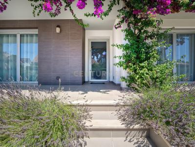 Alcobaça, לייריה 2475, פורטוגל 