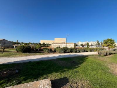 Faro, Faro 8000-510, Portugal