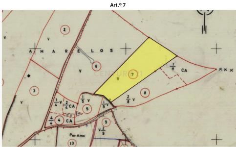 Alenquer, Lisbon 2580-154, Portugal