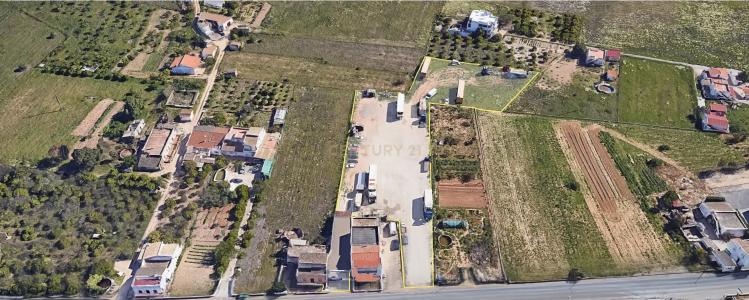 法如, 法如 8005, 葡萄牙