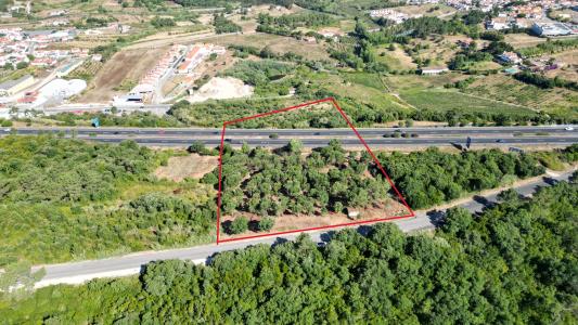 Óbidos, Leiria 2510-772, Portogallo