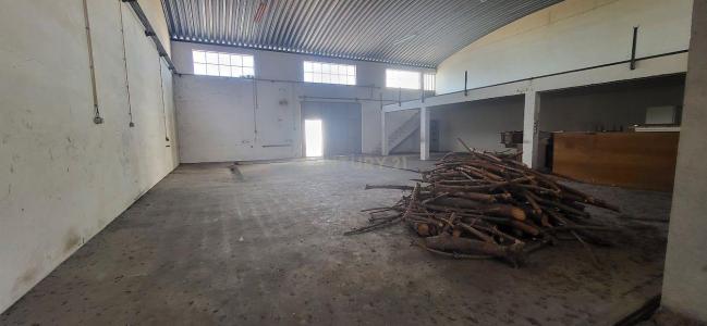 Torres Novas, Santarem 2350, Portogallo