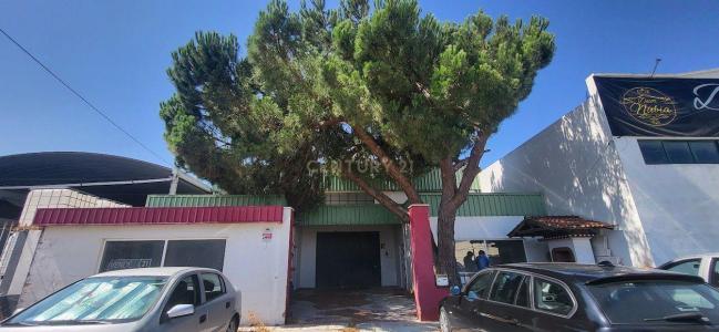 Torres Novas, Santarem 2350, Portogallo