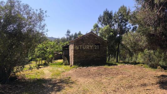 Castanheira De Pêra, Leiria 3280-101, Portugal