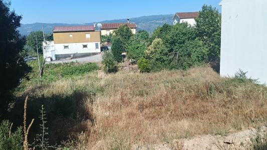 Mondim De Basto, Vila Real 4880-204, Portugal