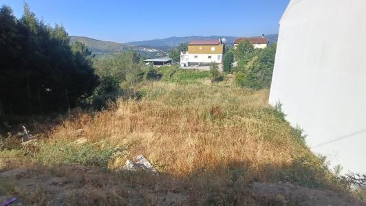 Mondim De Basto, Vila Real 4880-204, Portugal