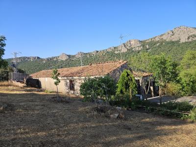 Cáceres, אקסטרמדורה 10373, ספרד