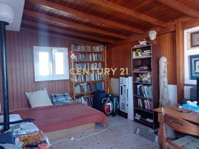 Petralona, Athens - Center, Greece