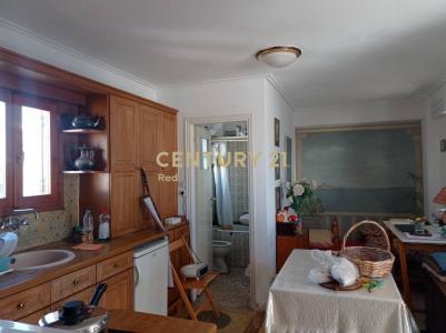 Petralona, Athens - Center, Greece