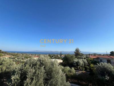 Eretria, Evia, 34008, Greece