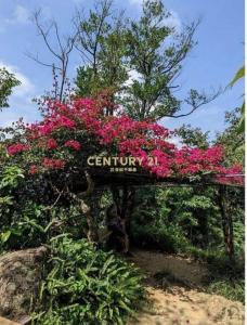 中埔段, Sanxia Dist., نيو تايبيه 237, تايوان