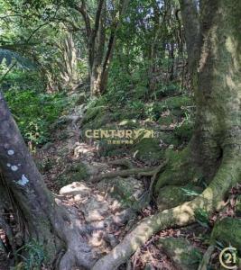 中埔段, Sanxia Dist., نيو تايبيه 237, تايوان