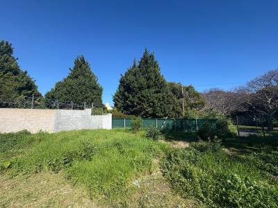 Cape Town, Western Cape, 南アフリカ