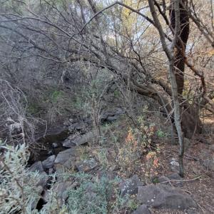 Bloemfontein, Free State, África Do Sul