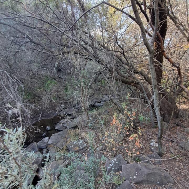 Bloemfontein, Free State, Sudáfrica