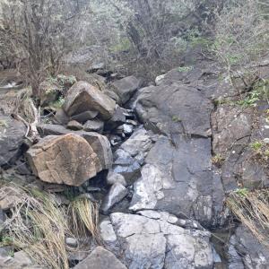 Bloemfontein, Free State, Sudáfrica