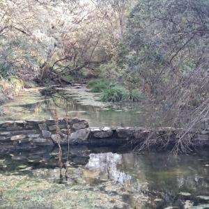 Bloemfontein, Free State, Sudáfrica