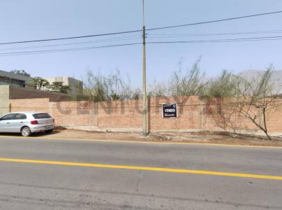 Jr. Acapulco , Lima, Lima 00001, Peru