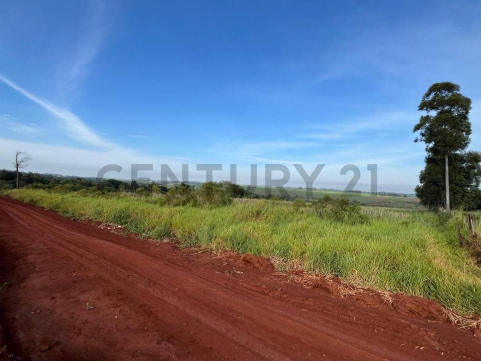 Ciudad Del Este, Alto Paraná 00001, Paraguay