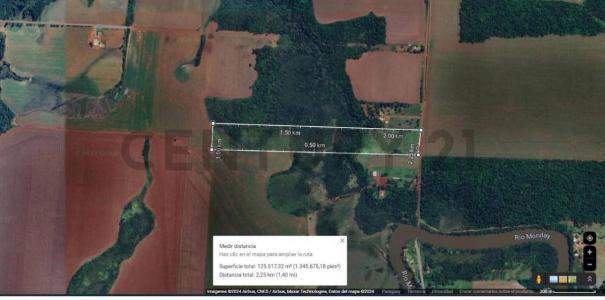 Ciudad Del Este, Alto Paraná 00001, Paraguay