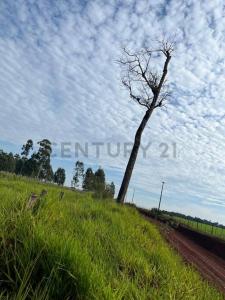 Ciudad Del Este, Alto Paraná 00001, Paraguay