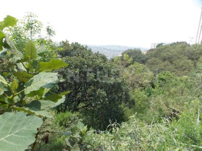 Privada de la Cañada ,, Huixquilucan, מקסיקו 52774, מקסיקו