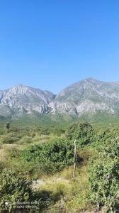 García, Nuevo León 66005, México