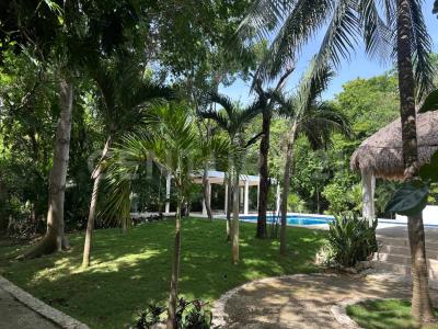 PlayaCar SN,, Solidaridad / Riviera Maya, Quintana Roo 77717, Meksika
