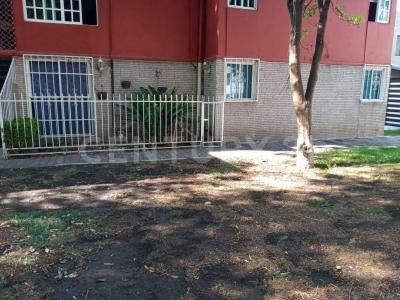 Andador 5 Luis Yuren #3,, Gustavo A. Madero, Ciudad De México 07090, 墨西哥