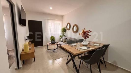 - -,, Solidaridad / Riviera Maya, Quintana Roo 77724, Mexico