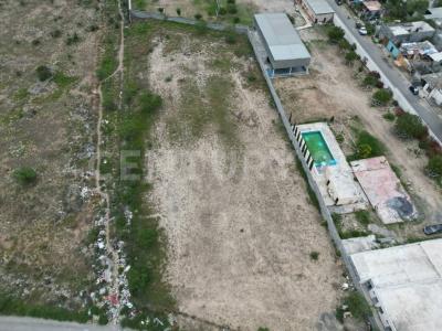 nogal 233,, Monterrey, Nuevo León 64103, Mexico