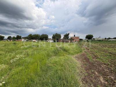 RIO GRANDE S/N,, Acolman, Estado De México 55870, Mexico