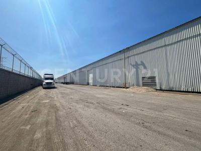 Altamira, 타마울리파스 89603, 멕시코