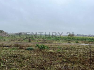 avenida bella vista 3300, Merlo, GBA Oeste 1716, Argentina