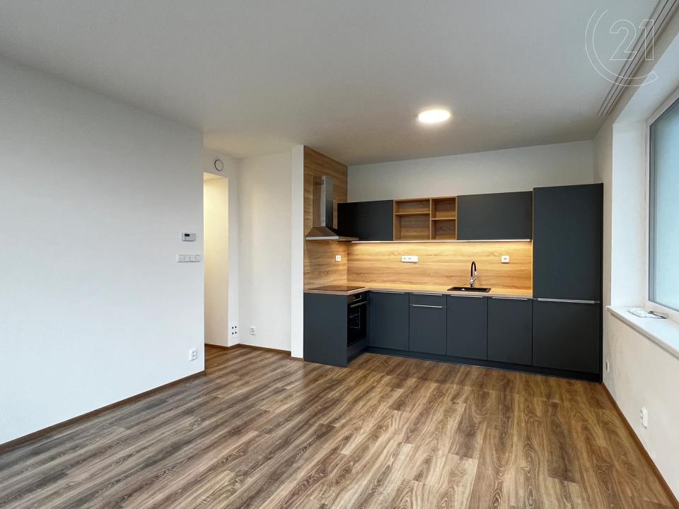 Alešova, Brno, Brno-město 61300, República Checa