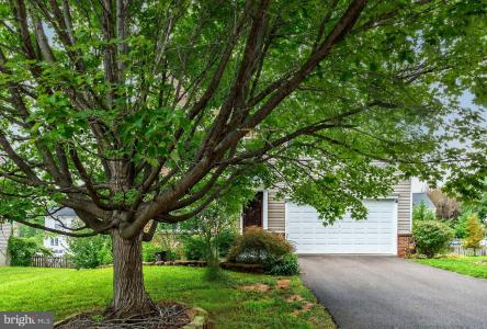 751 Holly Leaf Road, Culpeper, Virginia 22701, Amerika Birleşik Devletleri