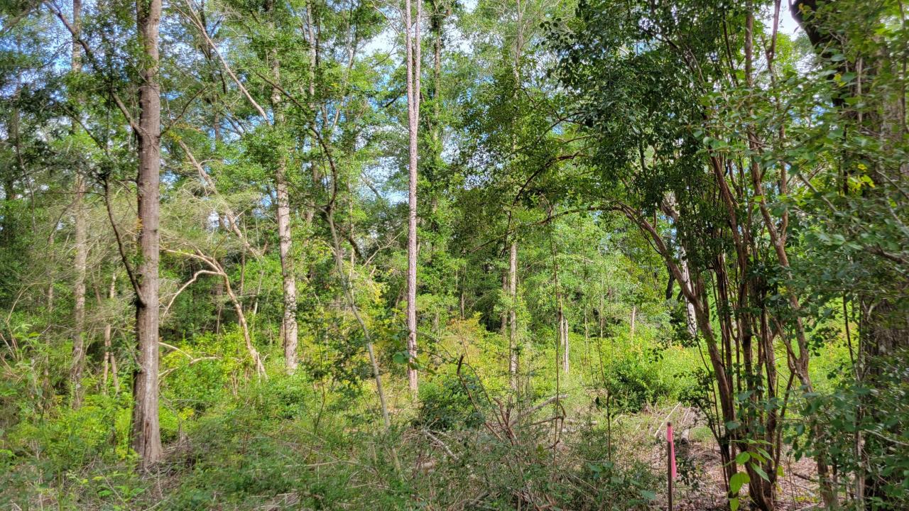 NE Second Avenue, Crestview, Florida 32539