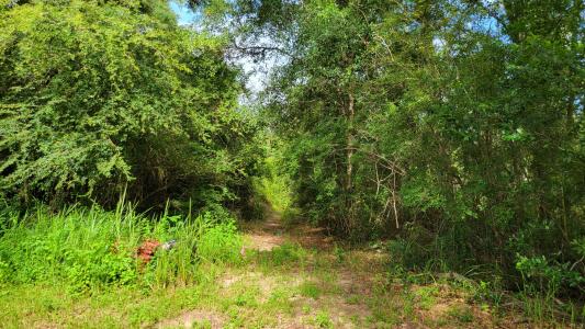 NE Second Avenue, Crestview, Florida 32539