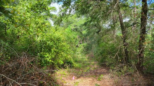 NE Second Avenue, Crestview, Floride 32539, États-Unis