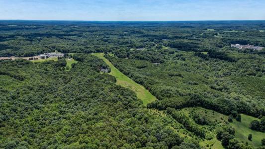 00 NC Highway 65, Reidsville, Carolina Do Norte 27320, Estados Unidos