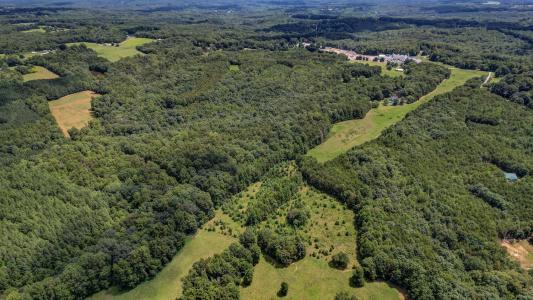 00 NC Highway 65, Reidsville, Carolina Do Norte 27320, Estados Unidos