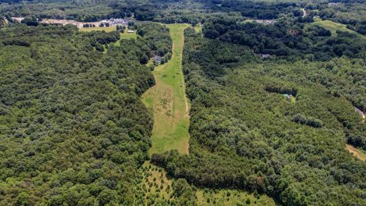 00 NC Highway 65, Reidsville, Carolina Do Norte 27320, Estados Unidos