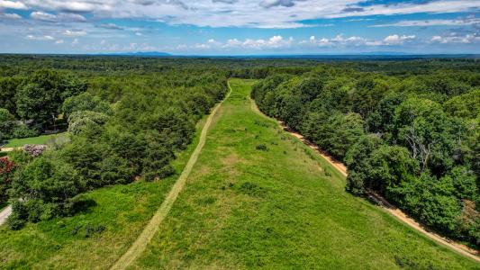 00 NC Highway 65, Reidsville, Carolina Do Norte 27320, Estados Unidos