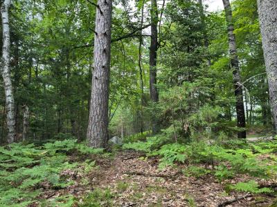 3.8 acres on Musky Dam Lane, Eagle River, Висконсин 54521, Соединенные Штаты